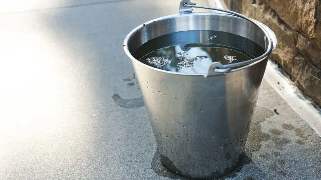 Water bucket for cleaning bumper plates