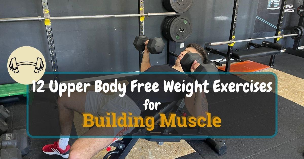 Upper Body Free Weight Exercises