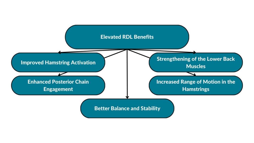 The image showcases different elevated RLD benefits. These include improved hamstring activation, enhanced posterior chain engagement, better balance and stability, increased range of motion in the hamstrings, and strengthening of the lower back muscles.
