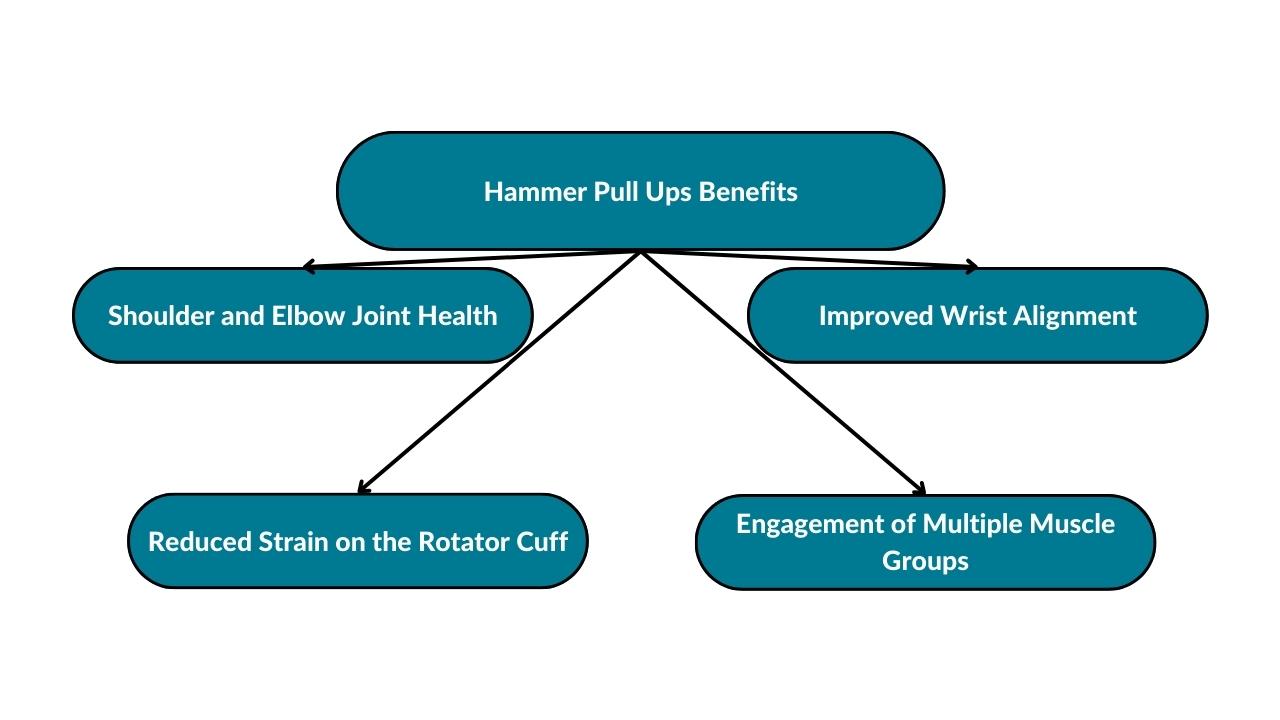 How to Do Hammer Pull Ups Muscles Worked, Benefits, and Variations