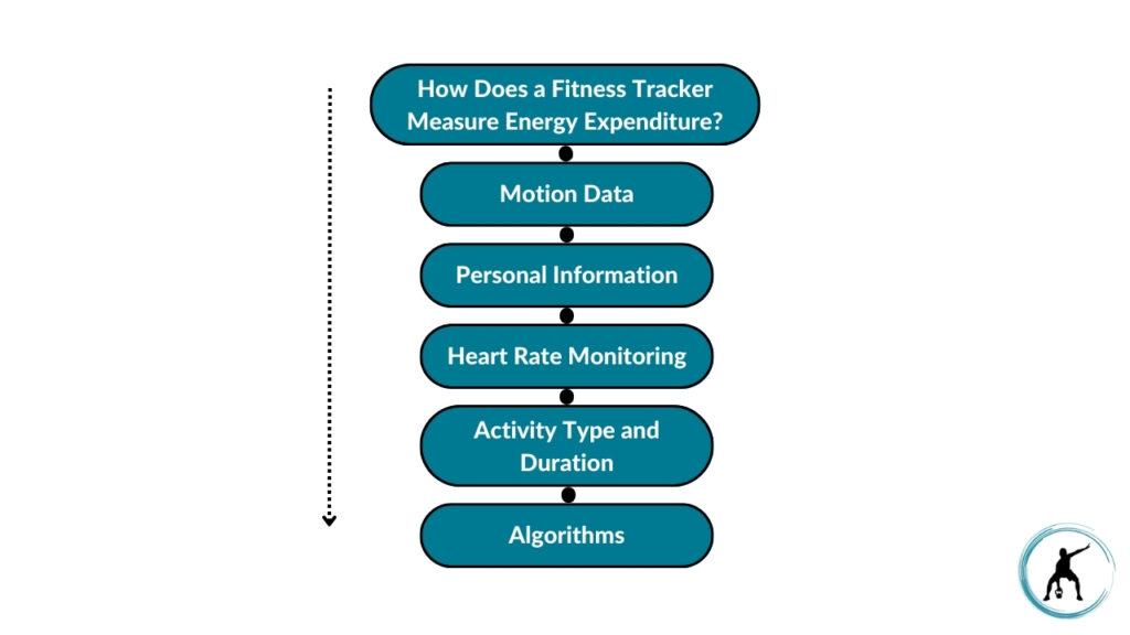 The image showcases how fitness trackers measure energy expenditure. These steps include collecting motion data, entering personal information, monitoring heart rate, identifying activity type and duration, and using algorithms to integrate this data.  
