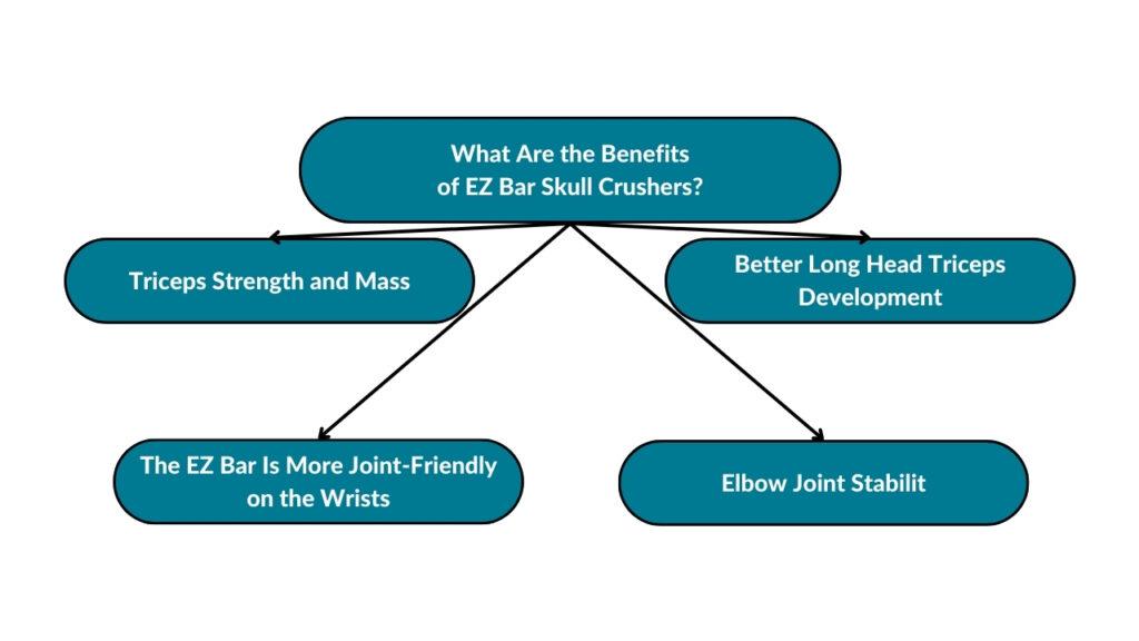 The image showcases the different benefits of EZ bar skull crushers. These include triceps strength and mass, the EZ bar being more joint-friendly on the wrists, better long-head triceps development, and elbow joint stability.
